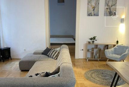 Pet-Friendly 3-Bedroom Apartment for Long-Term Rent in District VI