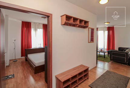 Wonderful apartment for rent Budapest XIII. district, Vizafogó