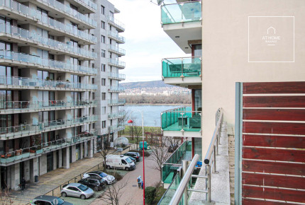 Wonderful apartment for rent Budapest XIII. district, Vizafogó