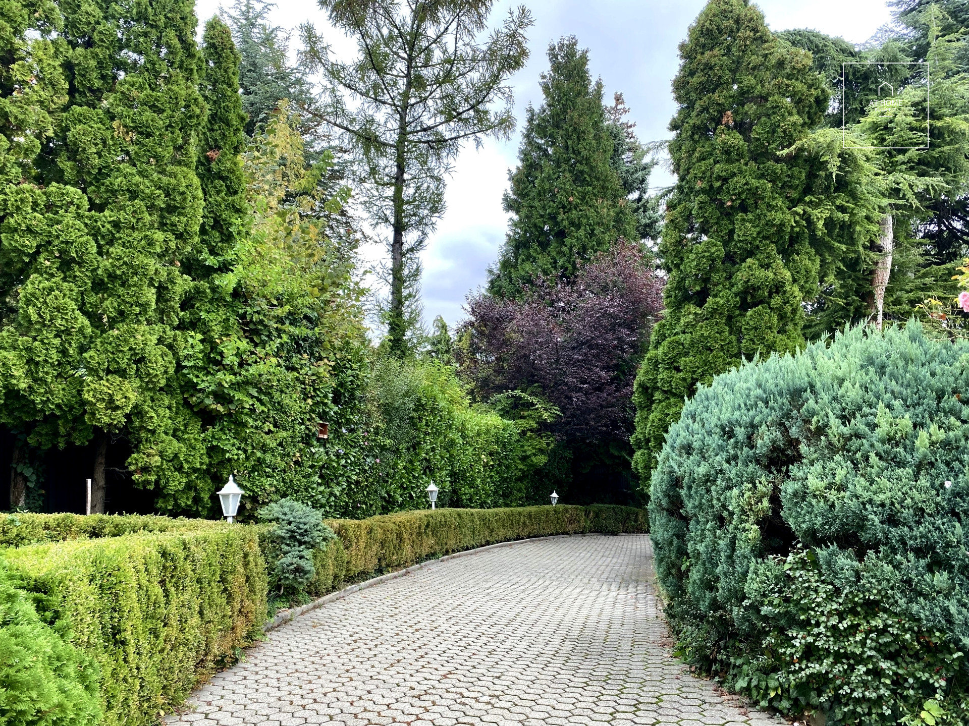 Wonderful apartment in detached house Budapest XII. district, Kissvábhegy