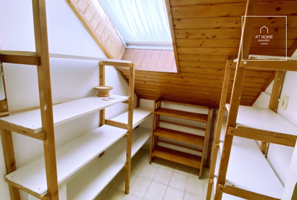 Wonderful apartment in detached house Budapest XII. district, Kissvábhegy