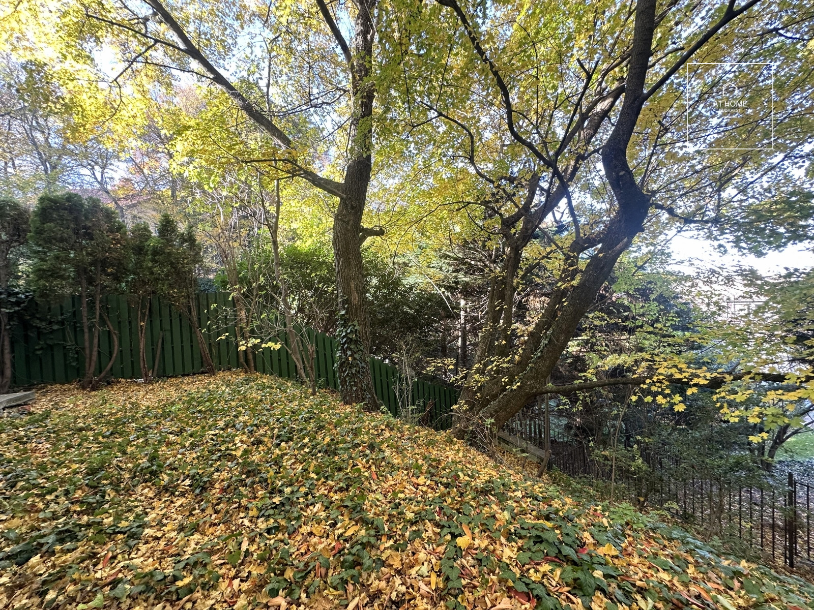 Napfényes Önálló családi ház kiadó Budapest XII. kerület, Svábhegy