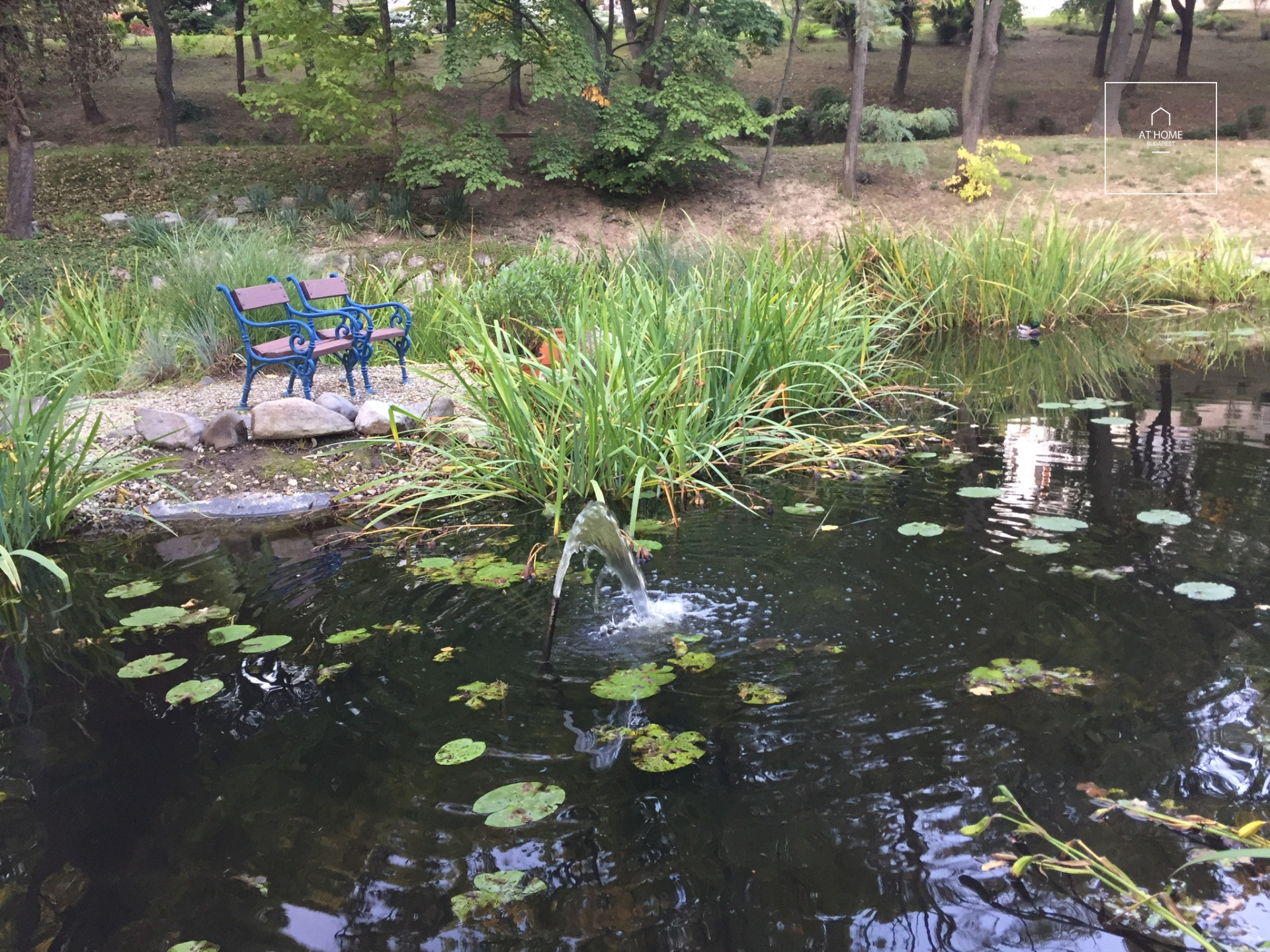 Bűbájos lakás kiadó Budapest II. kerület, Kurucles