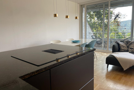 Five-bedroom panoramic apartment for rent in the 2nd district of Budapest, Törökvész.