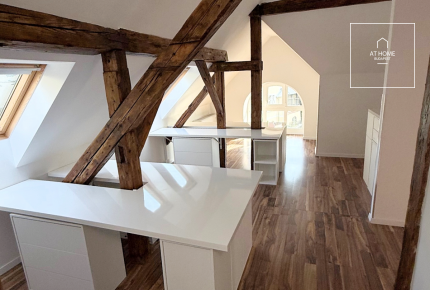 Villa for rent suitable for an embassy or company representative office in the central part of District II