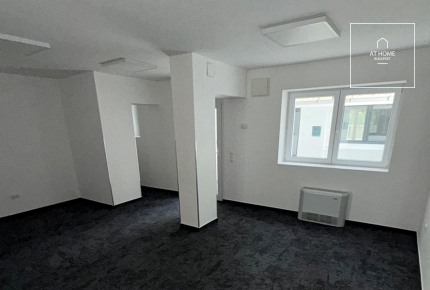 Villa for rent suitable for an embassy or company representative office in the central part of District II
