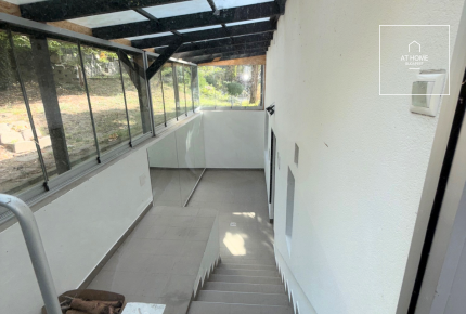 Villa for rent suitable for an embassy or company representative office in the central part of District II
