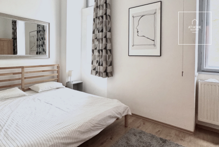 Elegant two-bedroom apartment for rent in District V, City Center.