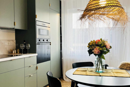 Renovated 48 m² Apartment with Views of János Hill in District II
