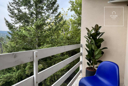 Renovated 48 m² Apartment with Views of János Hill in District II