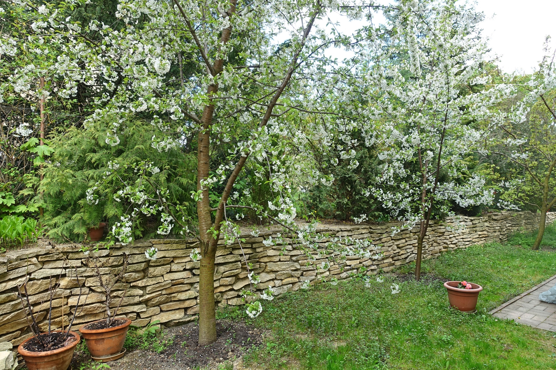 Elegant apartment  Budapest II. district, Vérhalom