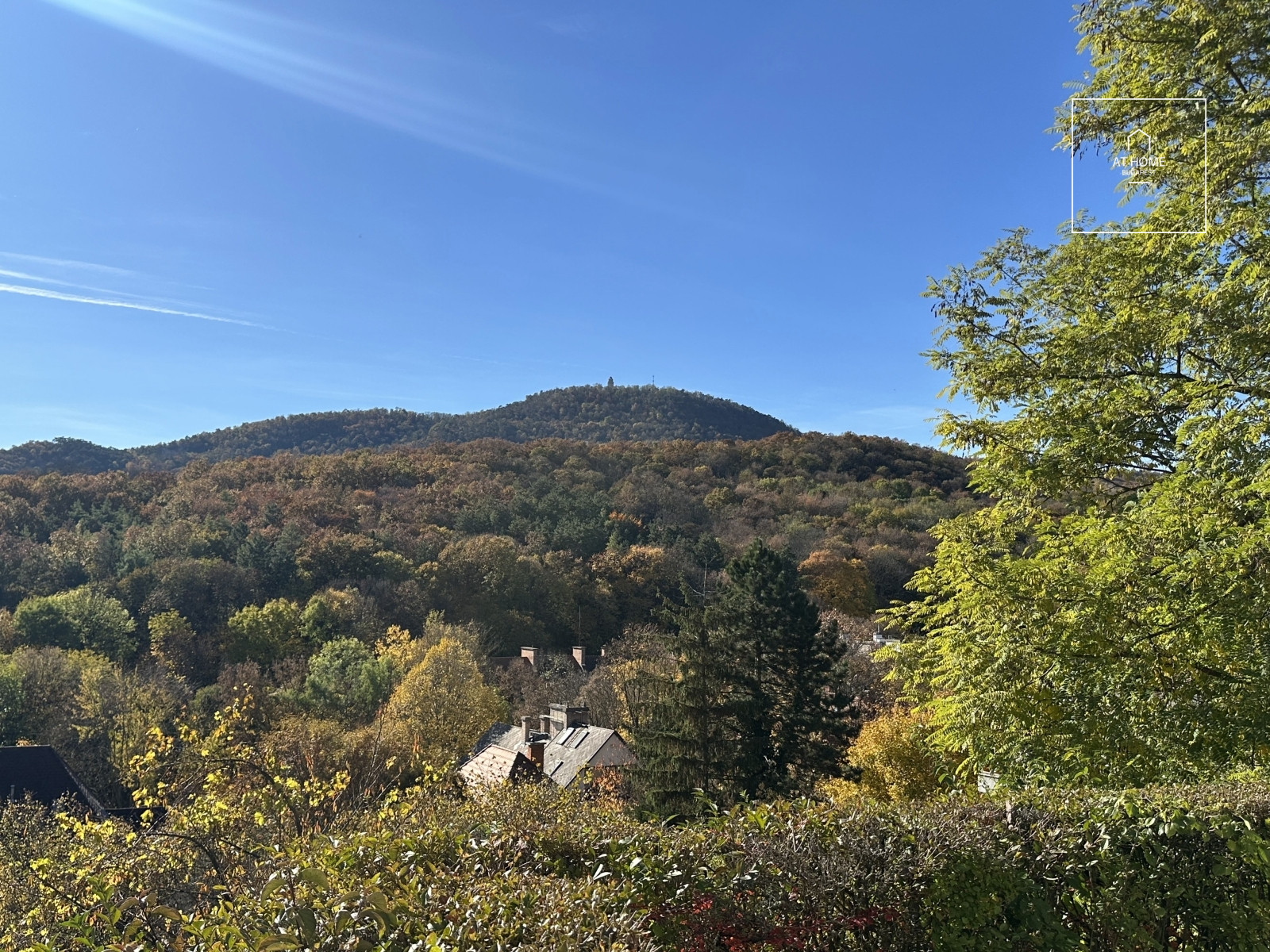 Frissen felújított földszinti kertkapcsolatos lakás garázzsal a II. kerületben