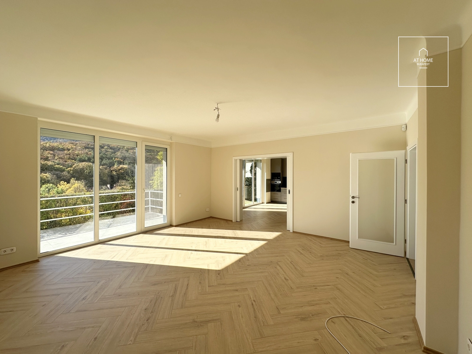 Newly renovated ground-floor apartment with garden access and a garage in District II