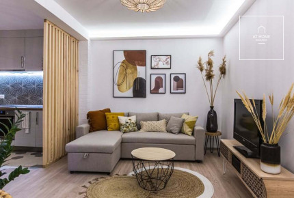 Renovated and fully equipped 55 sqm apartment in District II