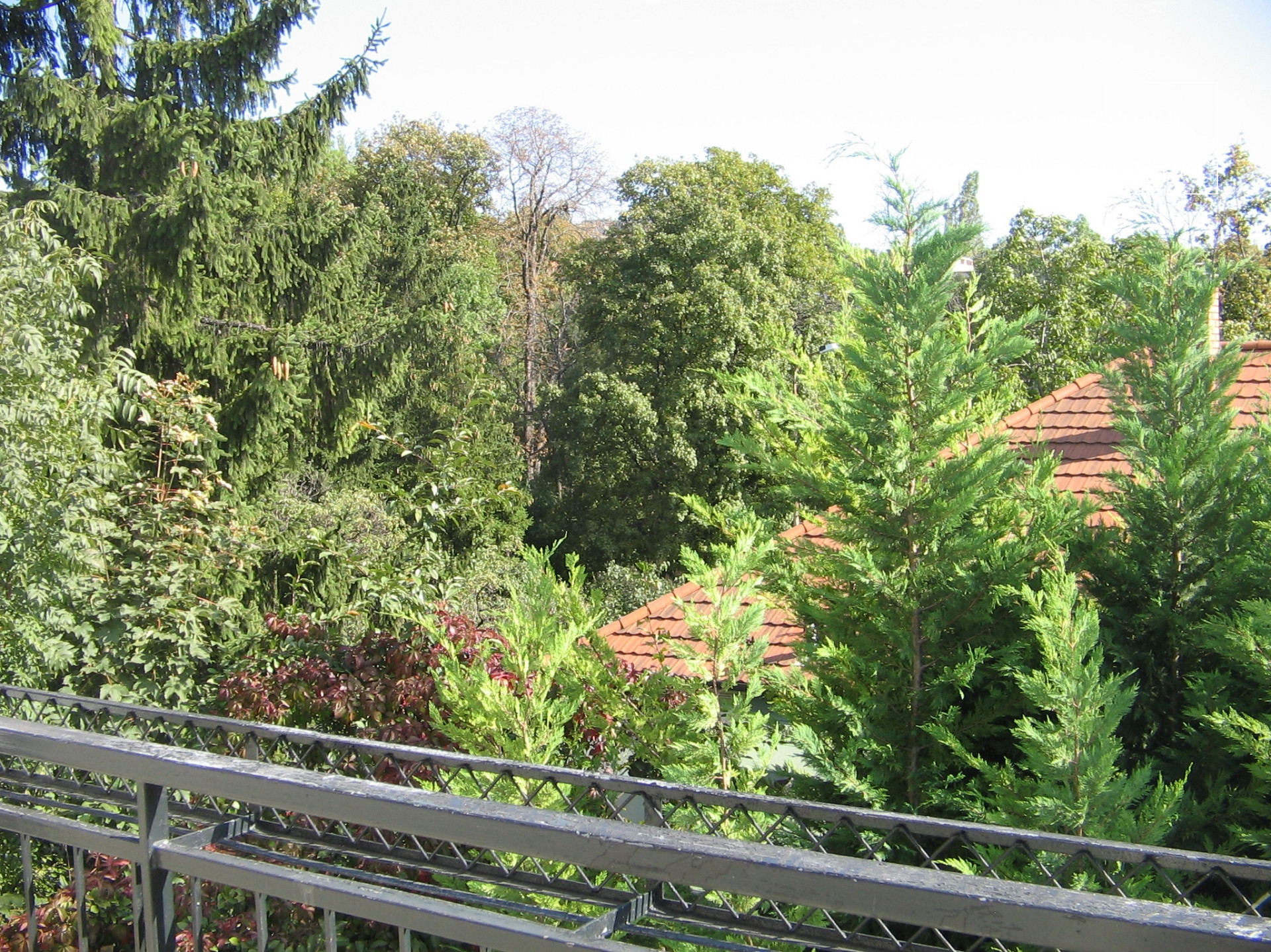 Stunning apartment for rent Budapest II. district, Naphegy