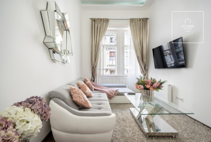 Luxury 72 sqm two-bedroom apartment with a view of the Opera House in District VI