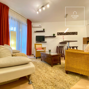 Renovated 50 sqm apartment with a balcony and one bedroom in District VI