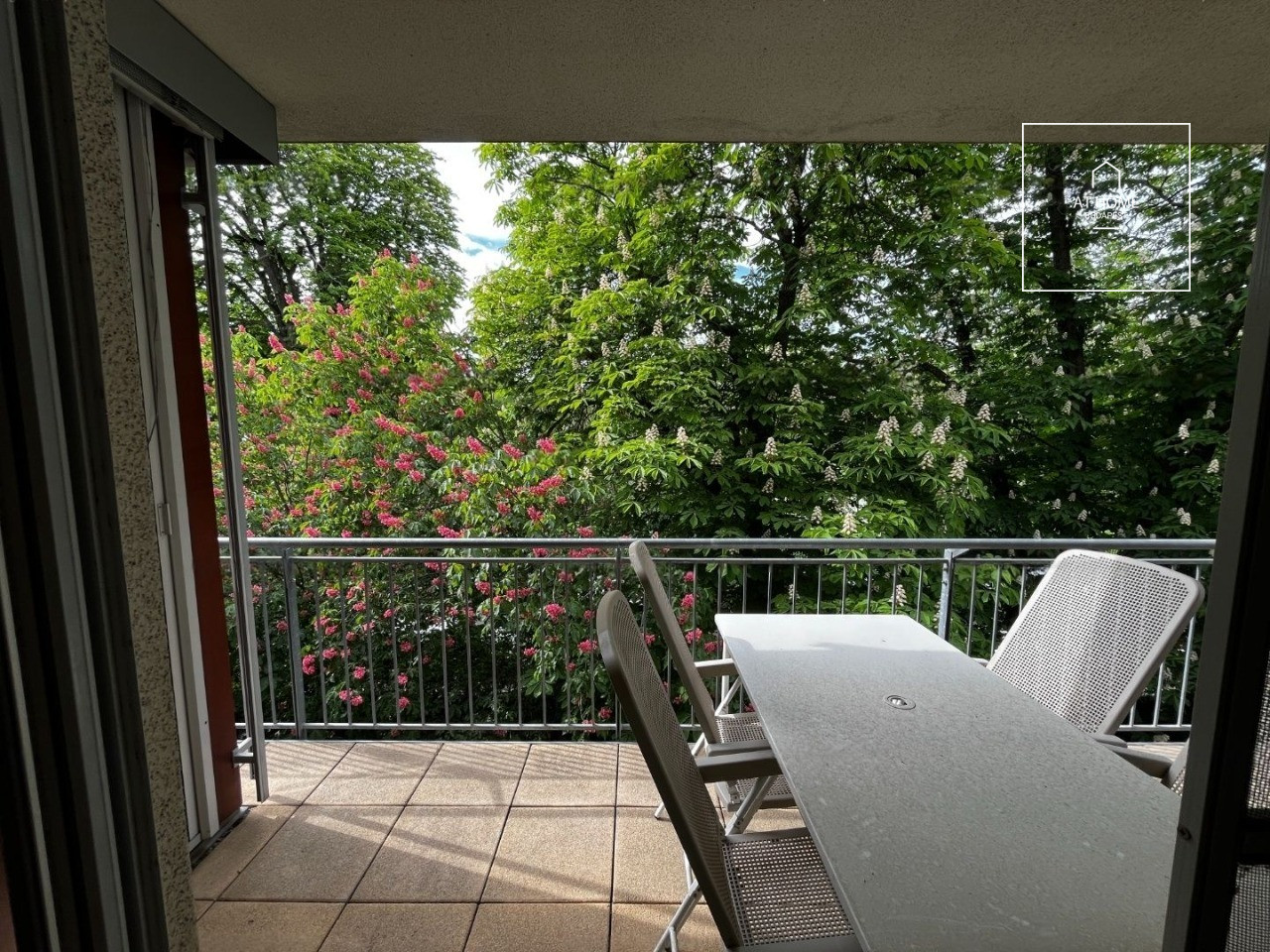 Sunny apartment for rent Budapest II. district, Pasarét