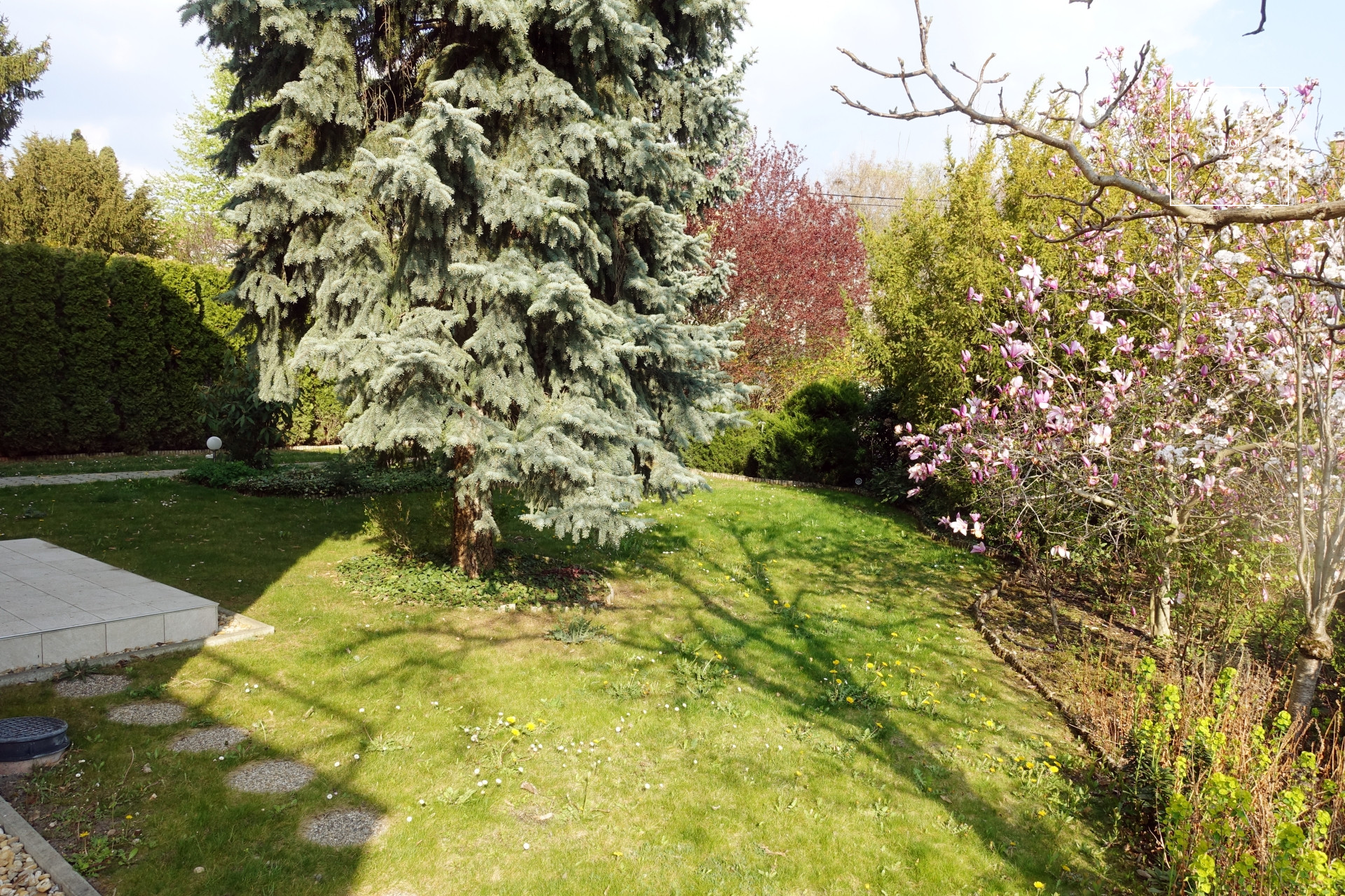 Detached house for rent Budapest II. district, Törökvész