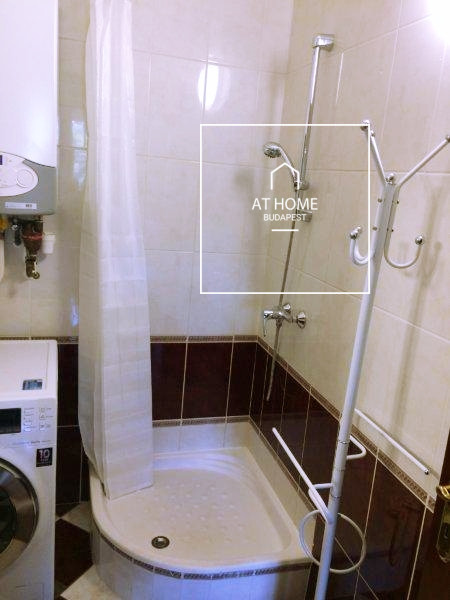 Apartment with garden connection for rent Budapest 2nd district, Kurucles