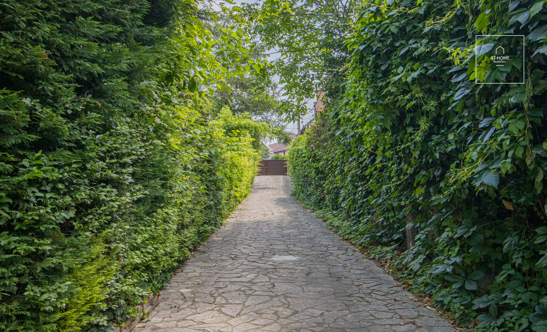 Charming detached house for rent Budapest III. district, Csillaghegy