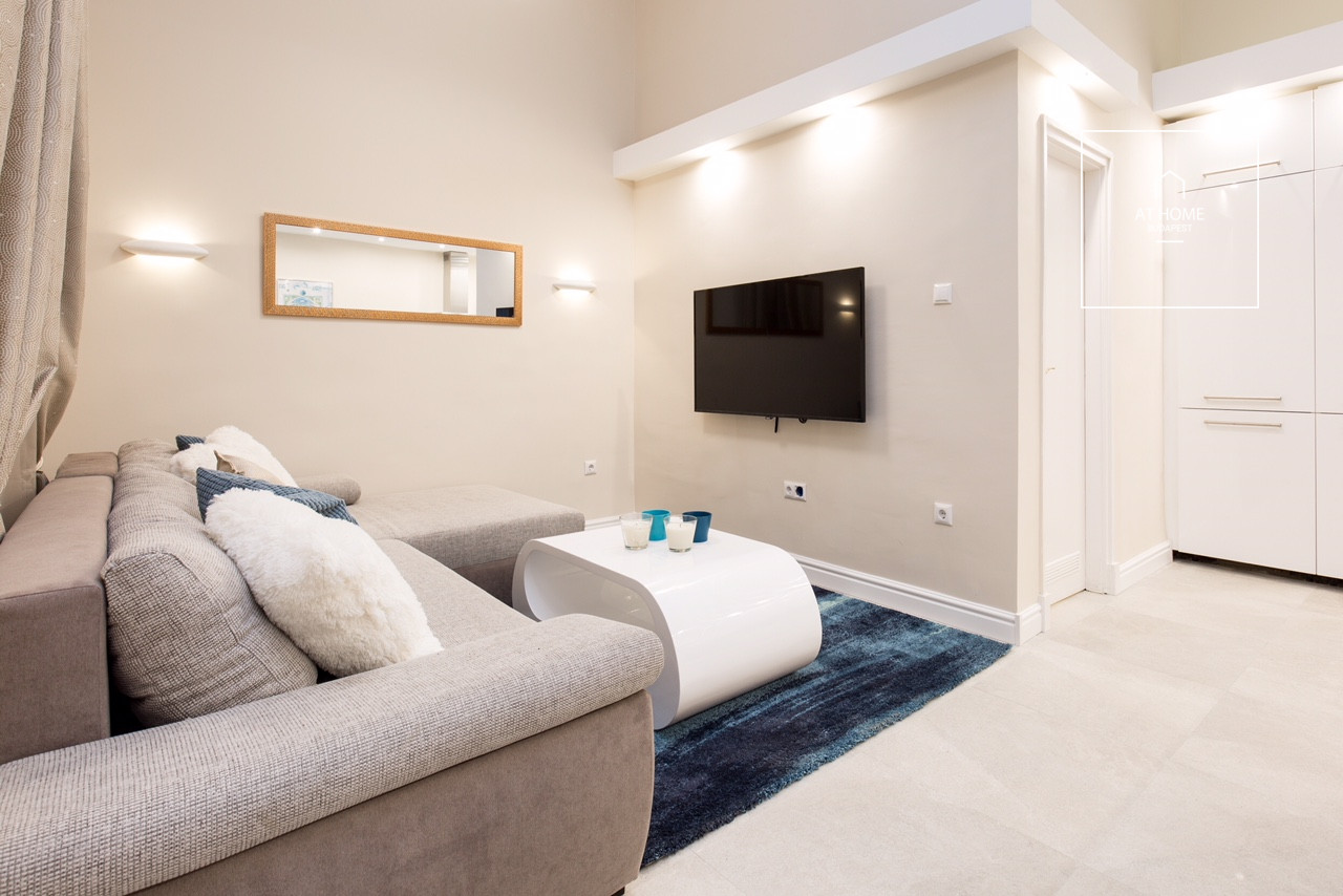 Fully furnished two-bedroom apartment in the heart of the city center