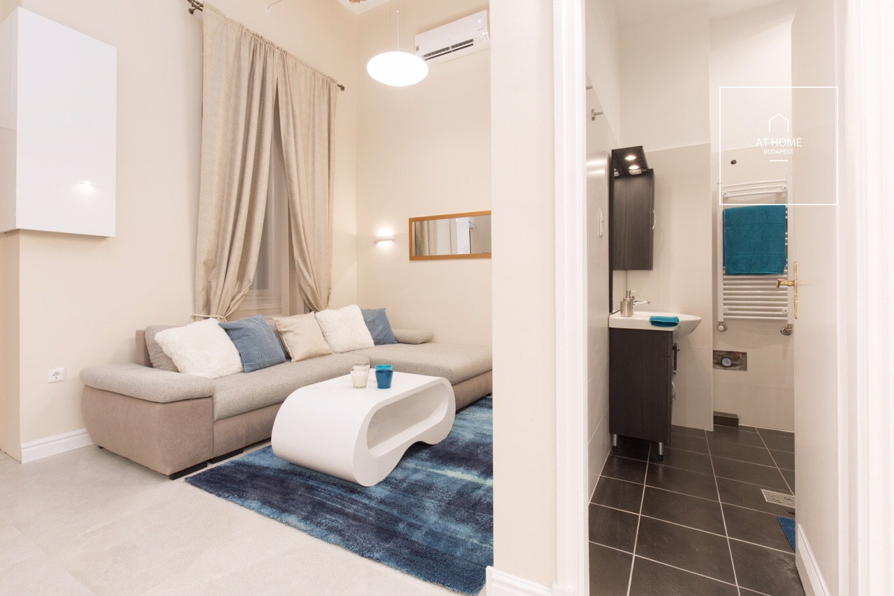 Fully furnished two-bedroom apartment in the heart of the city center