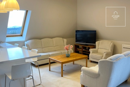 Panoramic 100 sqm penthouse apartment with 3 bedrooms and a balcony in District II/A