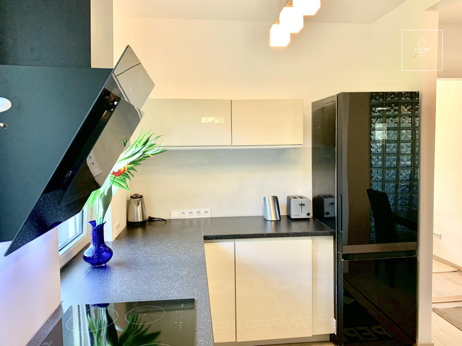 Refurbished apartment for rent Budapest II. district, Csatárka