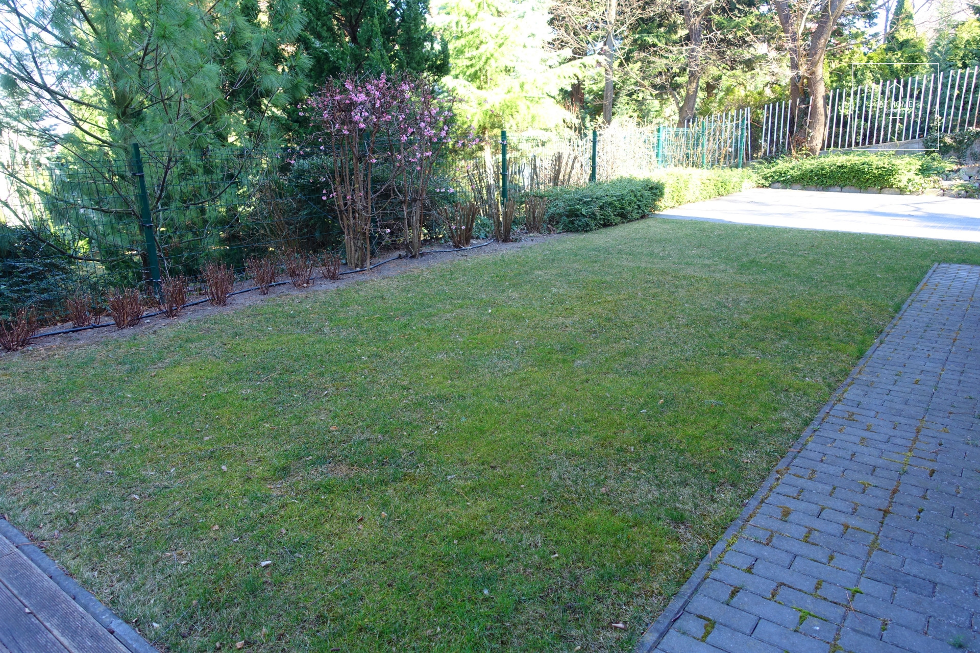 Sunny detached house for rent Budapest XII. district, Istenhegy