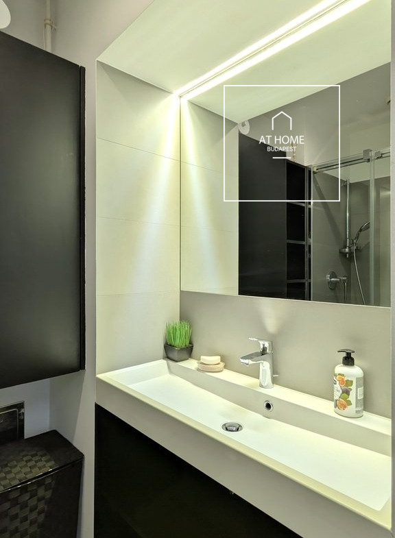 Elegant Renovated Apartment for Rent in the Heart of Budapest