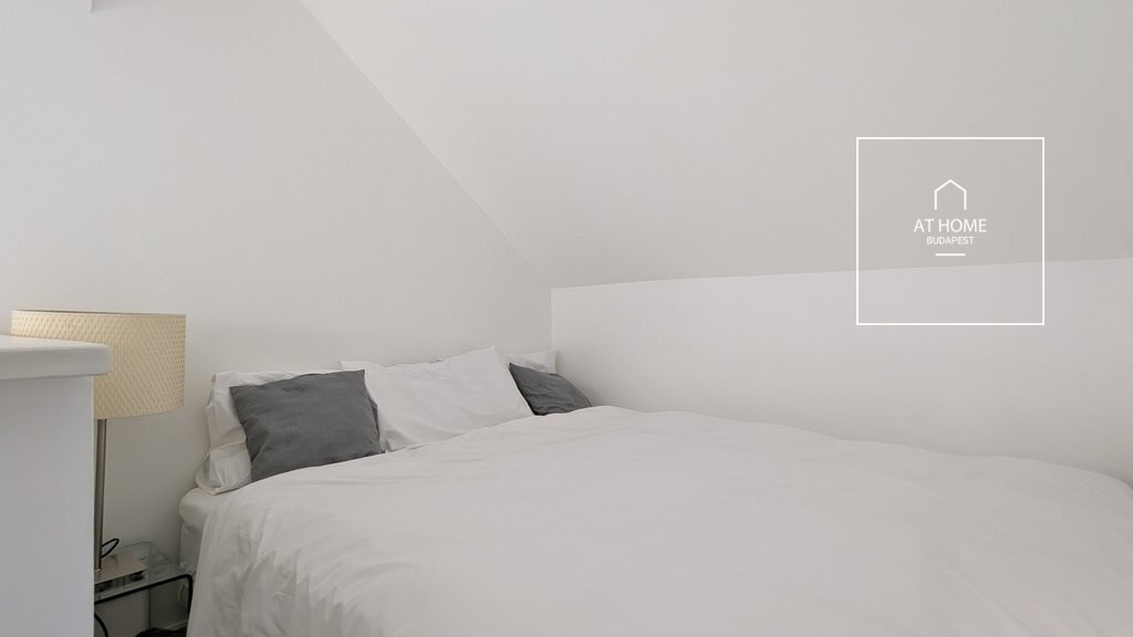 Elegant Renovated Apartment for Rent in the Heart of Budapest