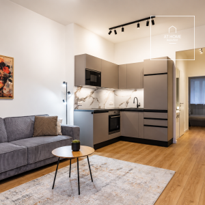 Luxury Apartment for Rent in the Heart of Budapest\'s 2nd District