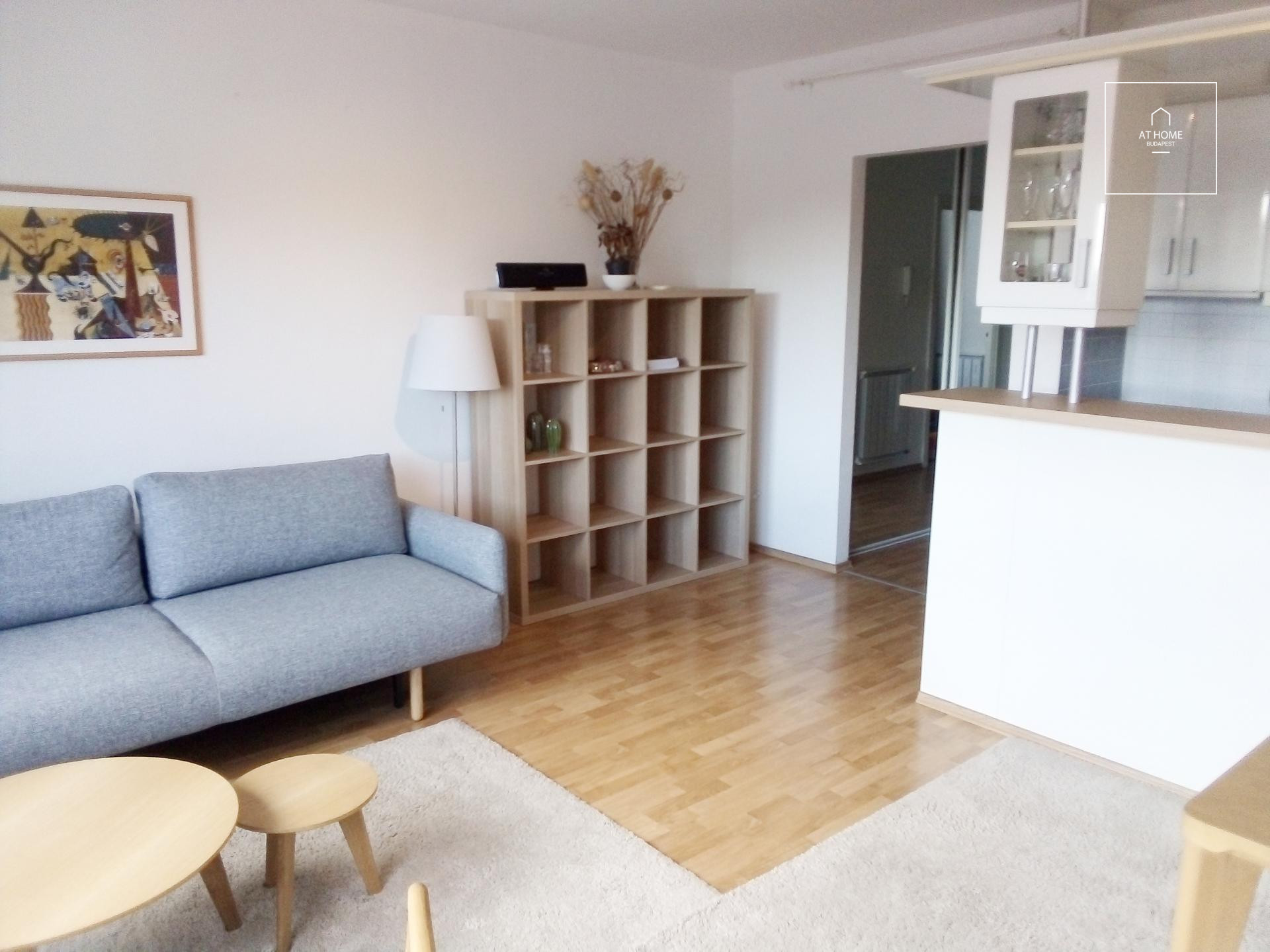 Panoramic 43 sqm one-bedroom apartment in District V