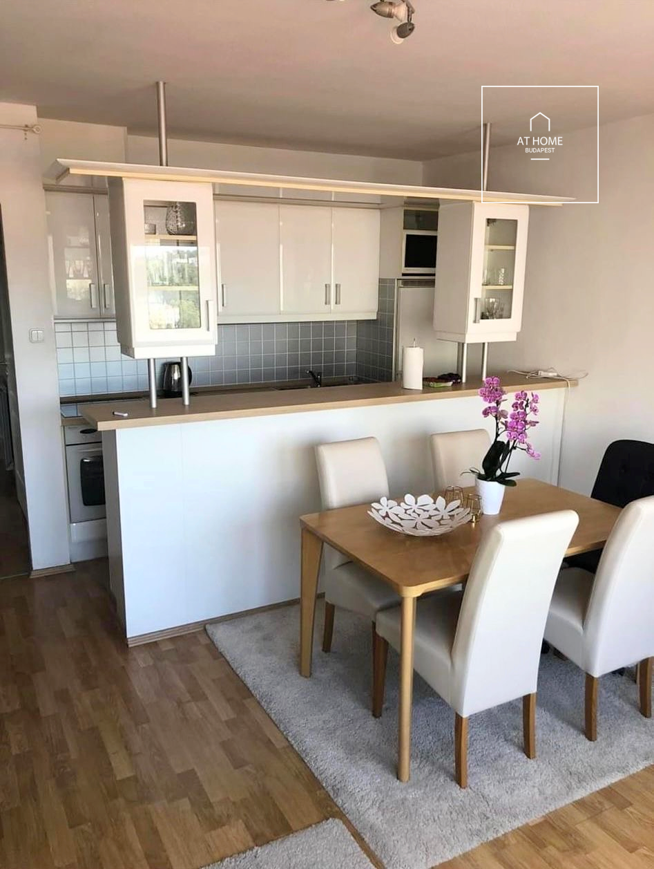 Panoramic 43 sqm one-bedroom apartment in District V