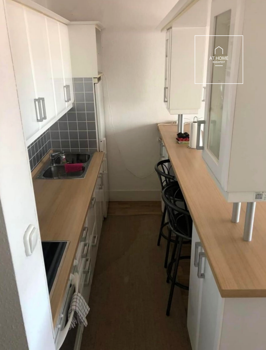 Panoramic 43 sqm one-bedroom apartment in District V