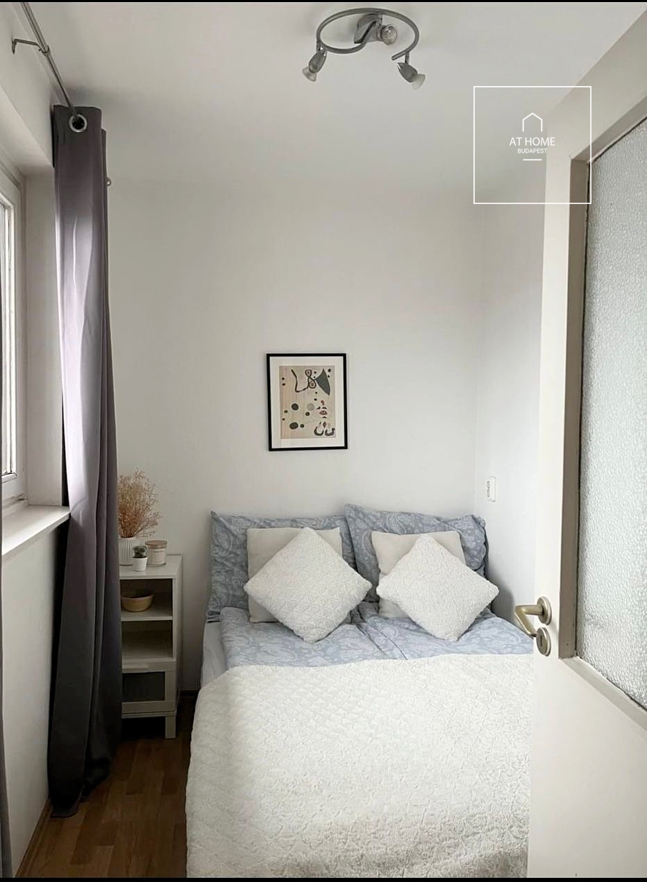 Panoramic 43 sqm one-bedroom apartment in District V