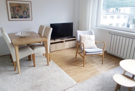 Panoramic 43 sqm one-bedroom apartment in District V
