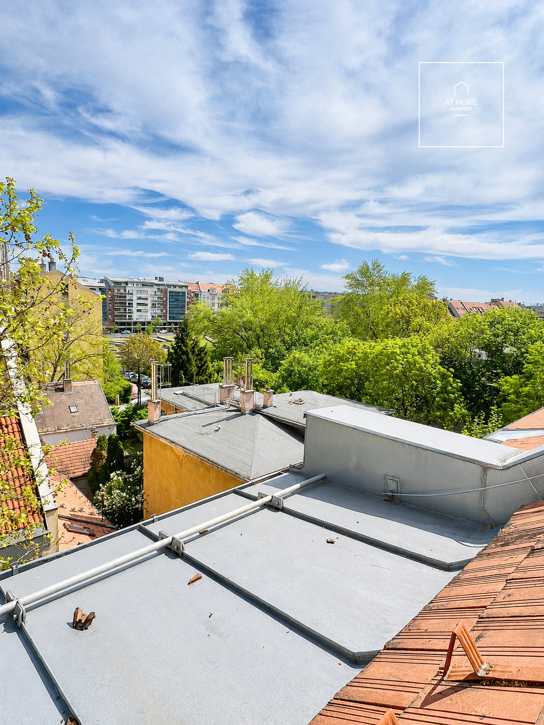 Renovated Duplex Apartment for Rent in District III