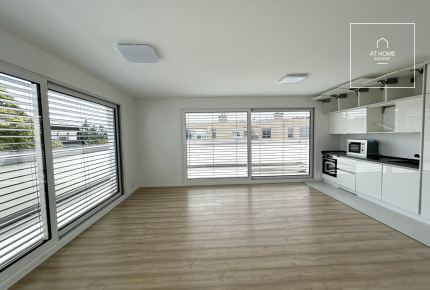 Premium three-bedroom apartment for rent in Budapest, District XI, Sasad