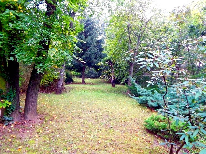 Elegant apartment for Sale in Svábhegy, District XII