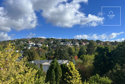 Premium Family Home with Panoramic View and Beautiful Landscaped Garden for sale, Budapest, district 2