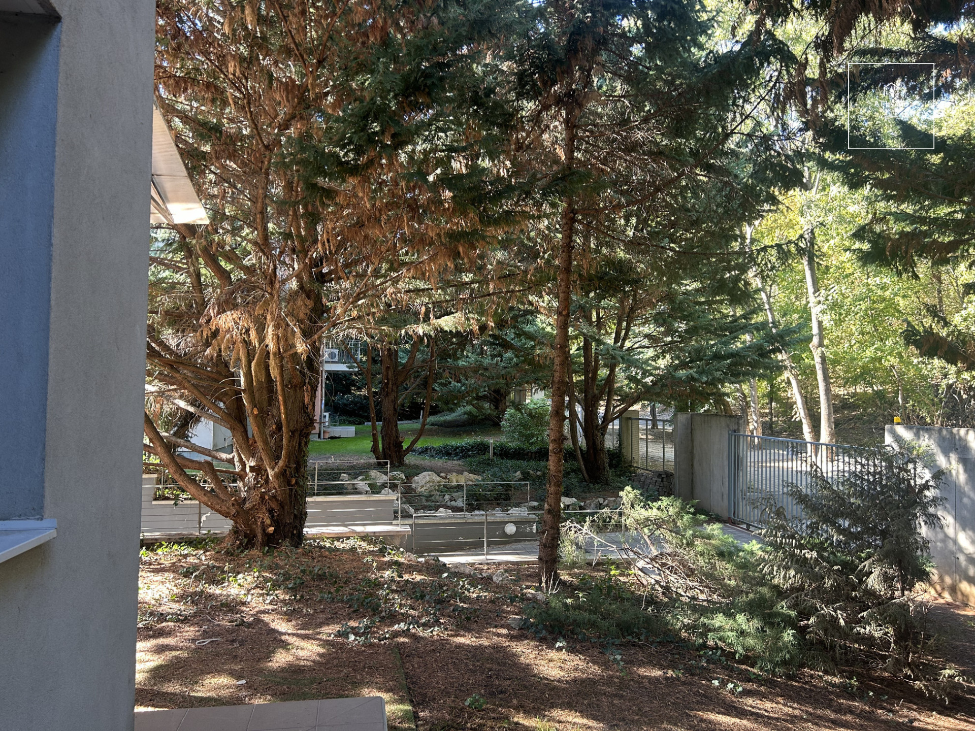 One-bedroom apartment with garden connection for rent Budapest II. district, Kurucles