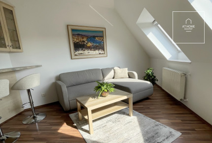 Sunny apartment for rent Budapest I. district, Naphegy