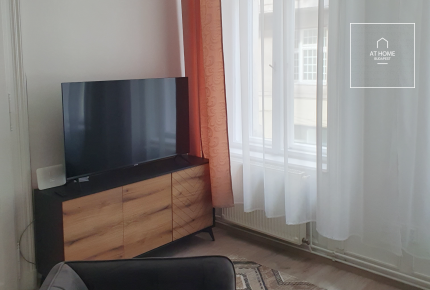 Renovated apartment for rent in downtown Budapest, 6th district, Terézváros.